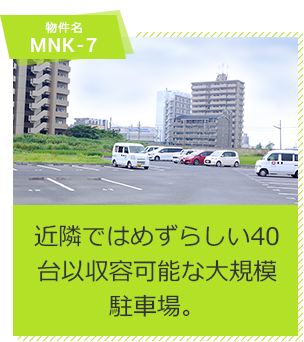 MNK-7